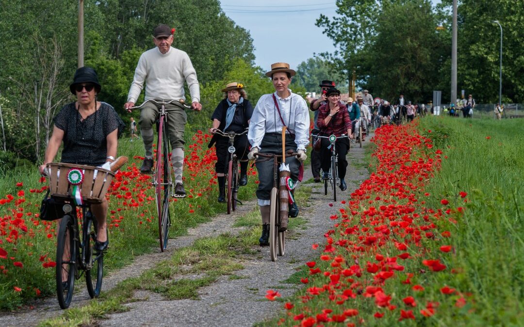 Along the river – Day 2 (PART 3) – 41st IVCA